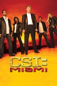 CSI: Miami Online Flv